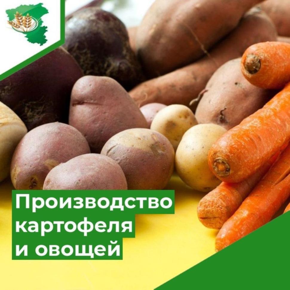Объявление об отборе получателей субсидий на стимулирование увеличения производства картофеля и овощей