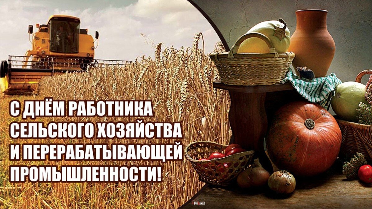 Поздравление главы Бессоновского района Натальи Шалдаевой с Днем работника сельского хозяйства и перерабатывающей промышленности! Поздравление главы Бессоновского района Натальи Шалдаевой с Днем работника сельского хозяйства и перерабатывающей промышленности!