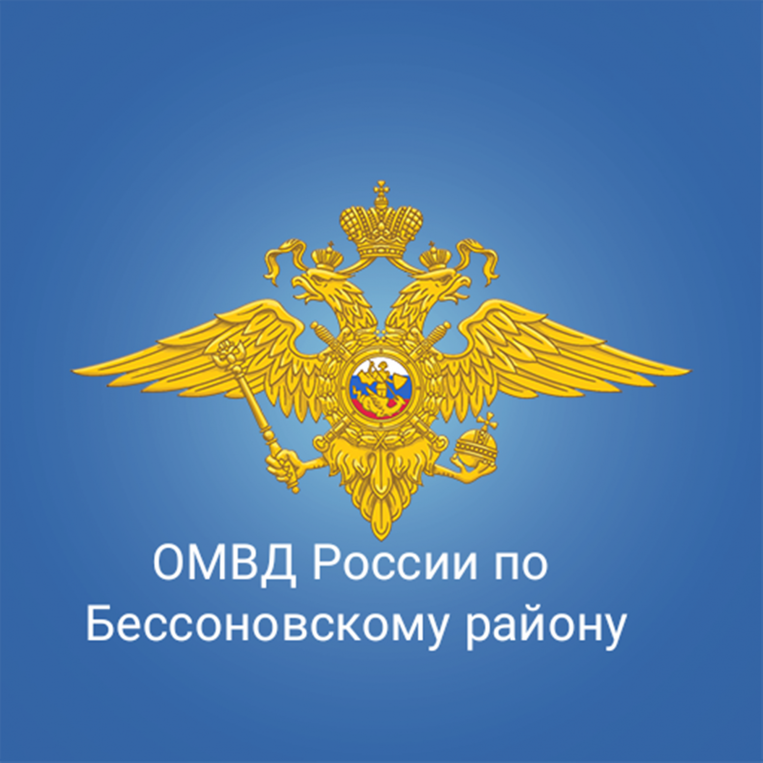 Уважаемые граждане!  ОВМ ОМВД России по Бессоновскому району информирует