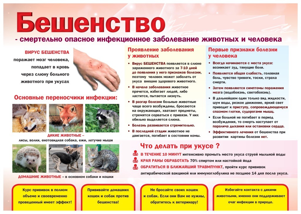 О проведении профилактических мероприятий по недопущению возникновения бешенства на территории Бессоновского район, Пензенской области О проведении профилактических мероприятий по недопущению возникновения бешенства на территории Бессоновского район, Пензенской области