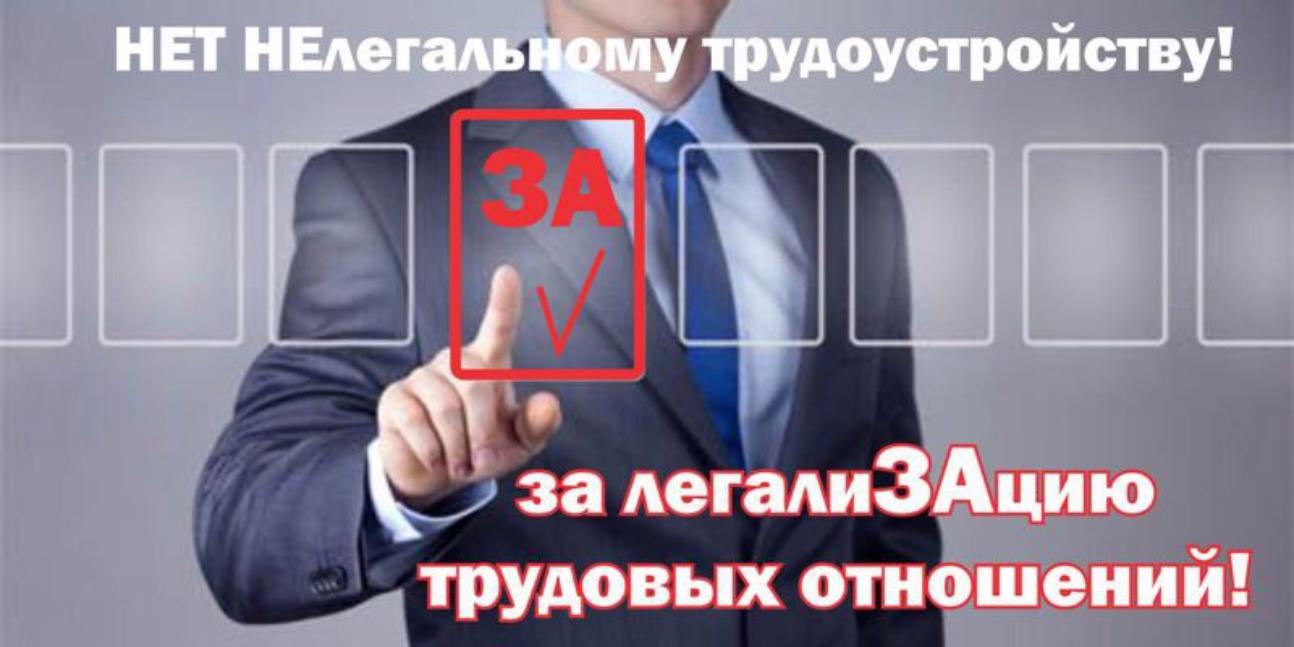 Итоги работы по неформальной занятости за 2024 год