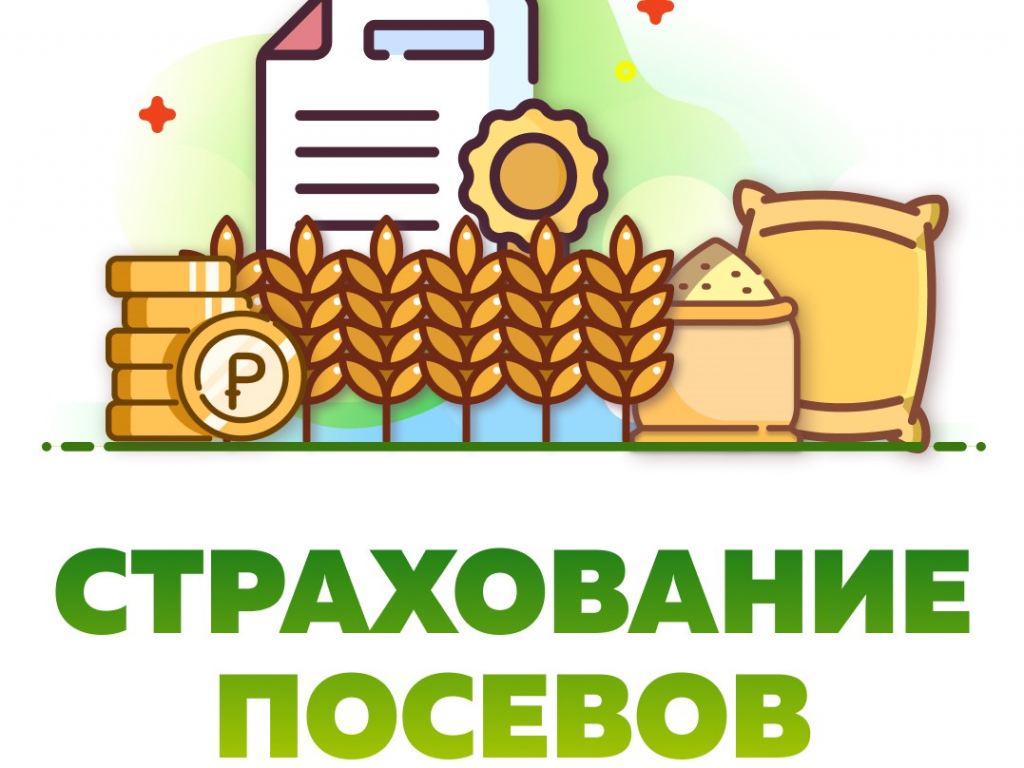 С 2023 года застраховавшие урожай зернопроизводители получат повышенные субсидии на производство