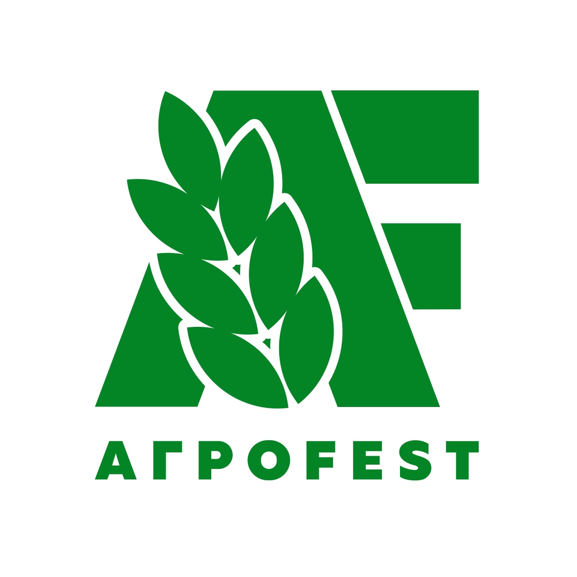 Мастер-классы на сцене фестиваля «АгроFest»