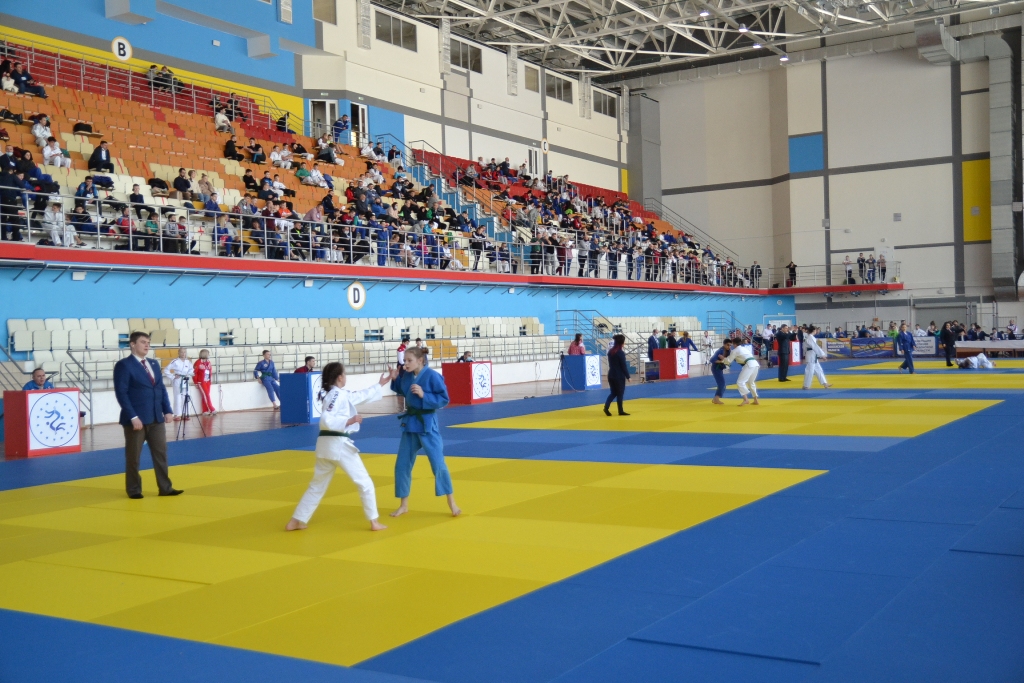Первенство Приволжского федерального октура по дзюдо