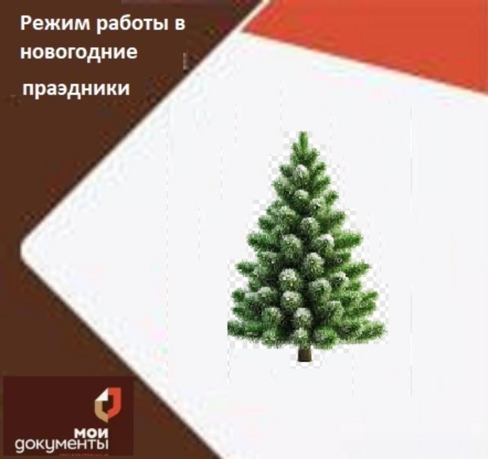 Режим работы МАУ «МФЦ Бессоновского района» в новогодние праздники Режим работы МАУ «МФЦ Бессоновского района» в новогодние праздники