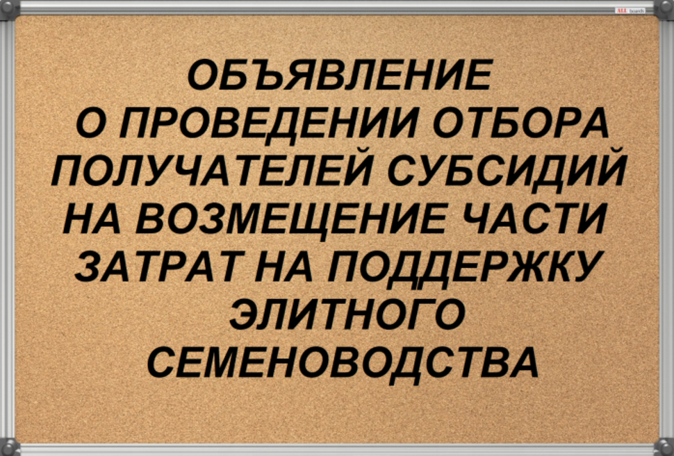 Министерство сельского хозяйства Пензенской области объявляет отбор получателей субсидий на поддержку элитного семеноводства