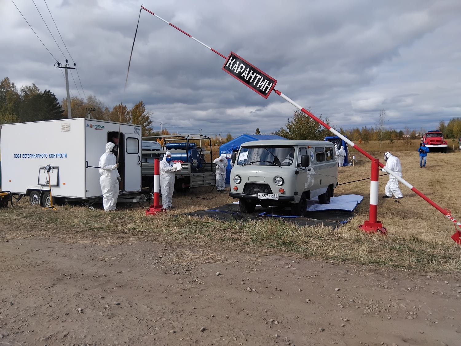 В Колышлейском районе прошли межрегиональные командно-штабные учения по ликвидации условного очага особо опасного заболевания птиц  