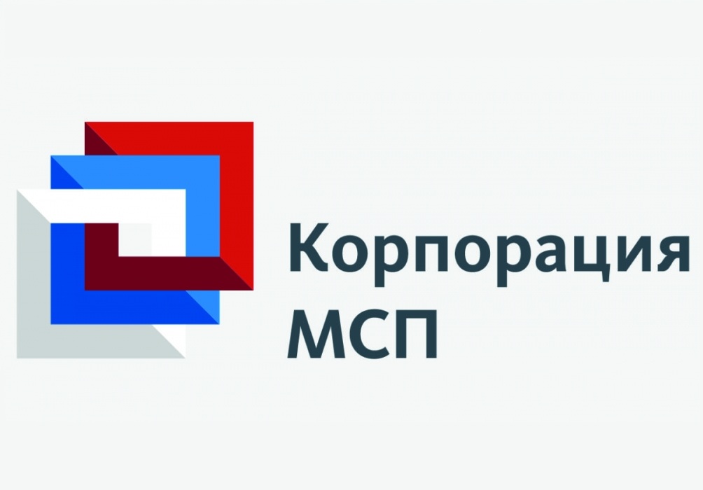 Концепция развития Корпорации МСП до 2030 года Концепция развития Корпорации МСП до 2030 года