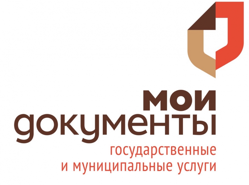 Жители региона смогут проголосовать в удобном месте, подав заявление в МФЦ
