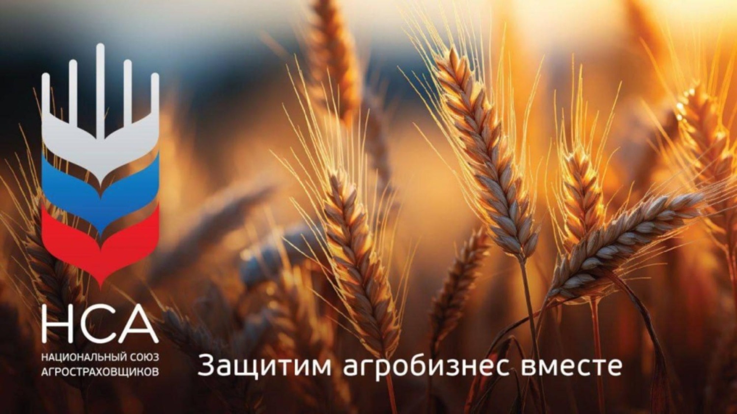 Разработано специализированное мобильное приложение «НСА Помощник агрария»  