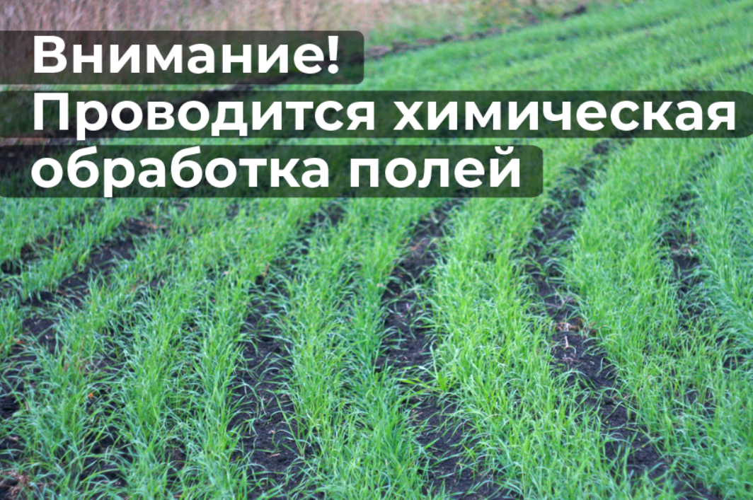 Внимание, химическая обработка полей!