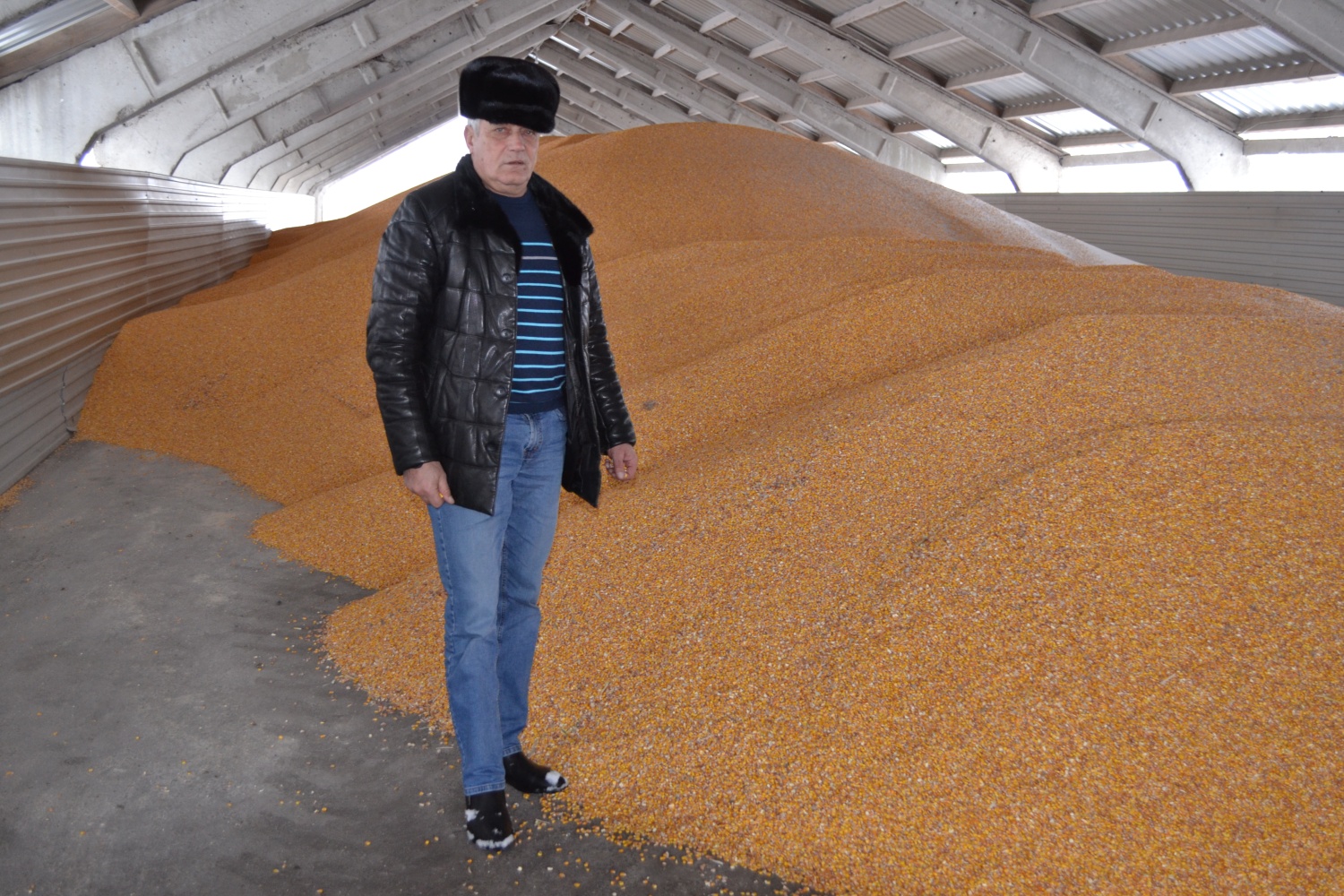 ООО «ДЦ-Агро» продолжает уборку кукурузы на зерно