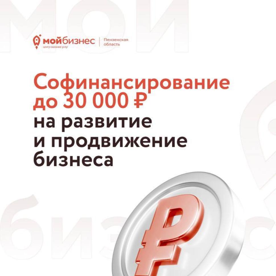 Софинансирование до 30000 рублей на развитие и продвижение бизнеса Софинансирование до 30000 рублей на развитие и продвижение бизнеса