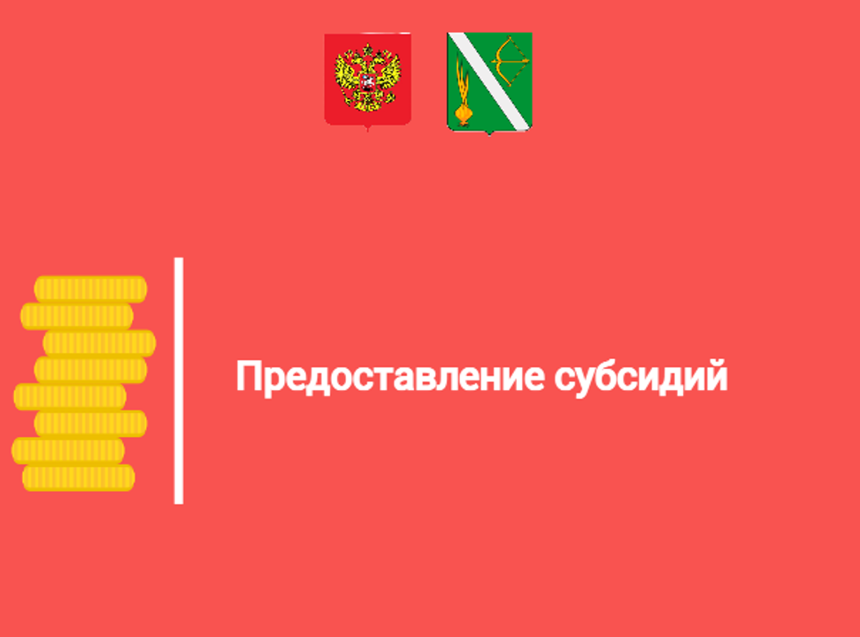 Предоставление субсидий Предоставление субсидий