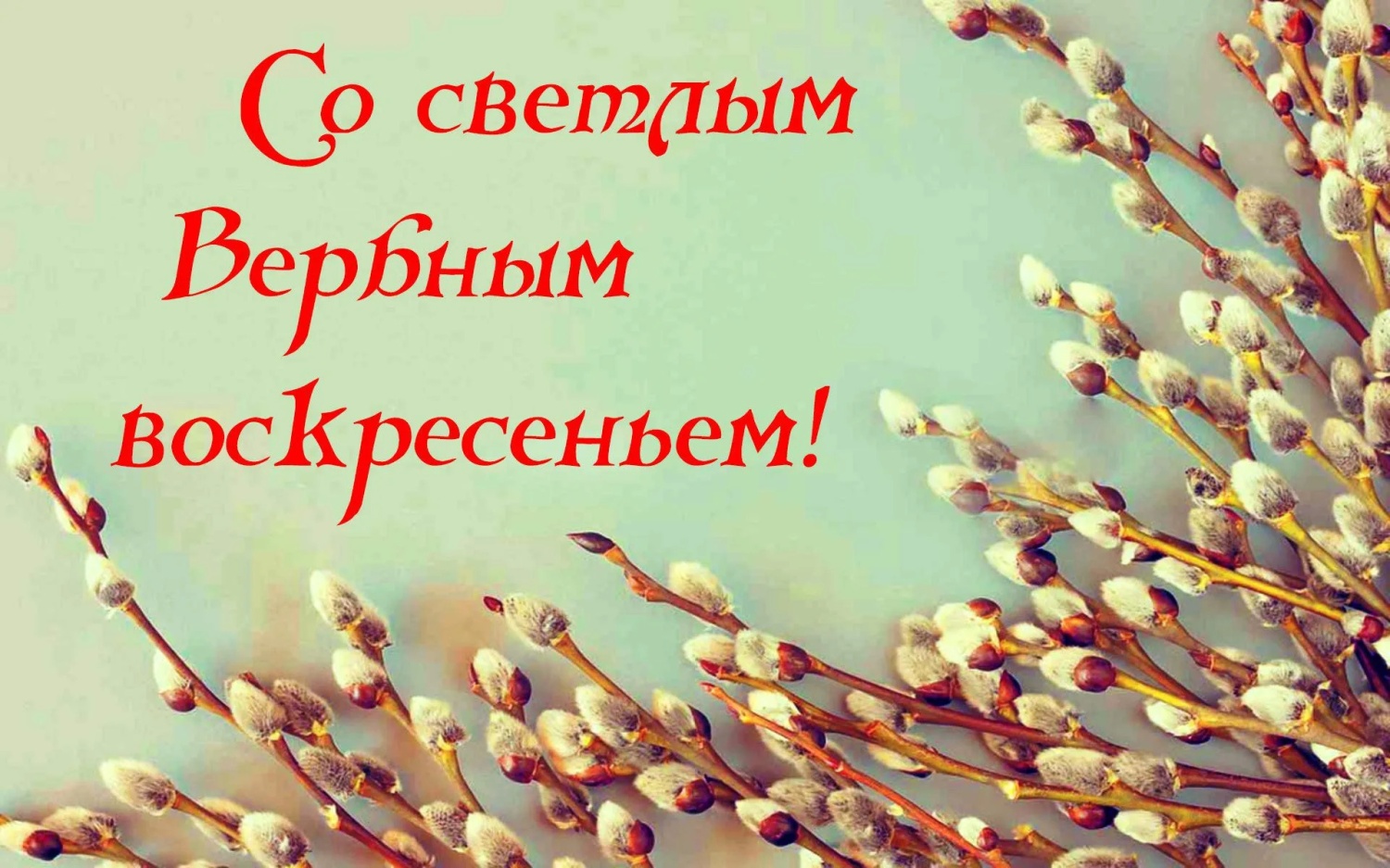 Поздравление главы Бессоновского района Натальи Шалдаевой с Вербным воскресеньем!