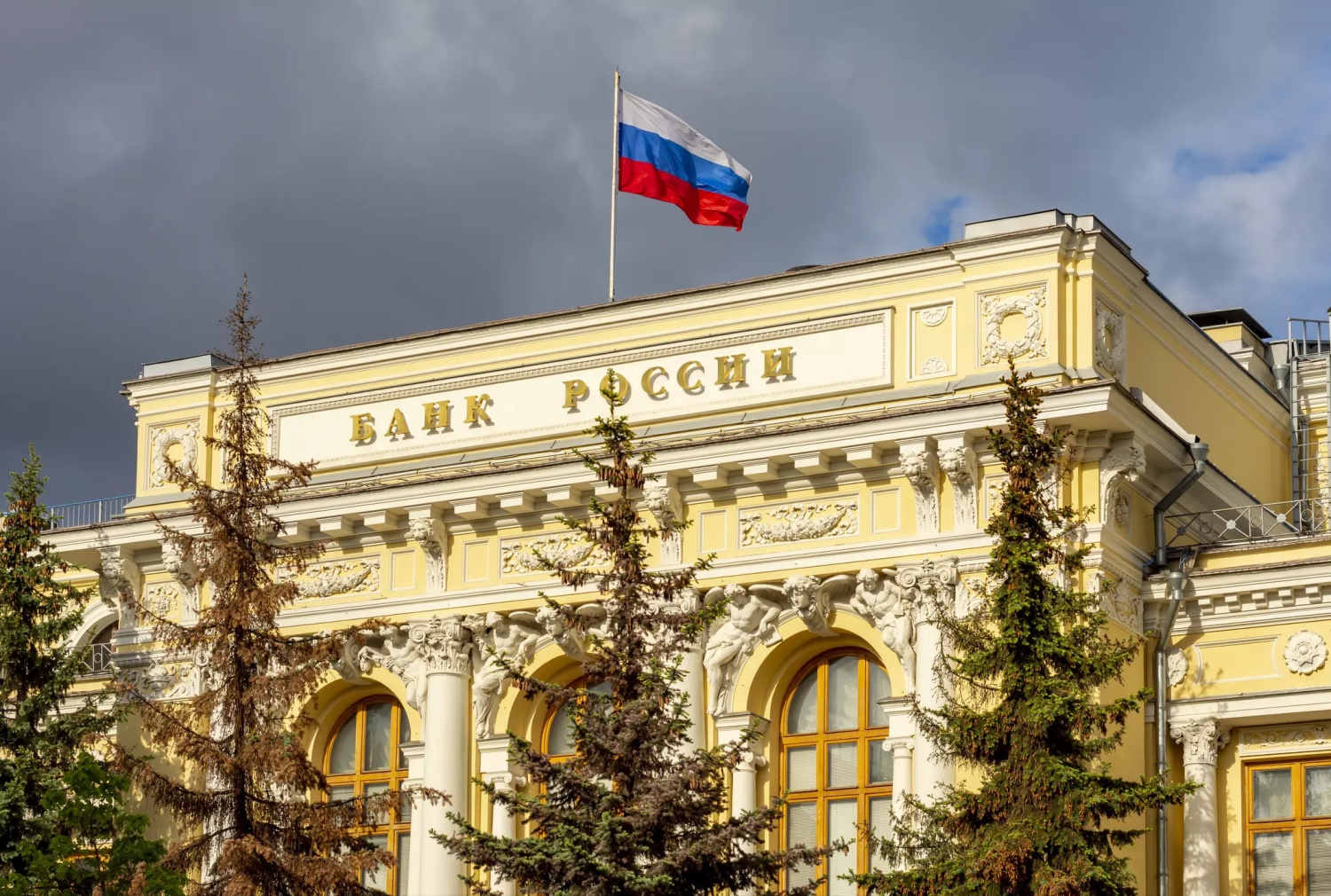 Новые сервисы Банка России на Госуслугах