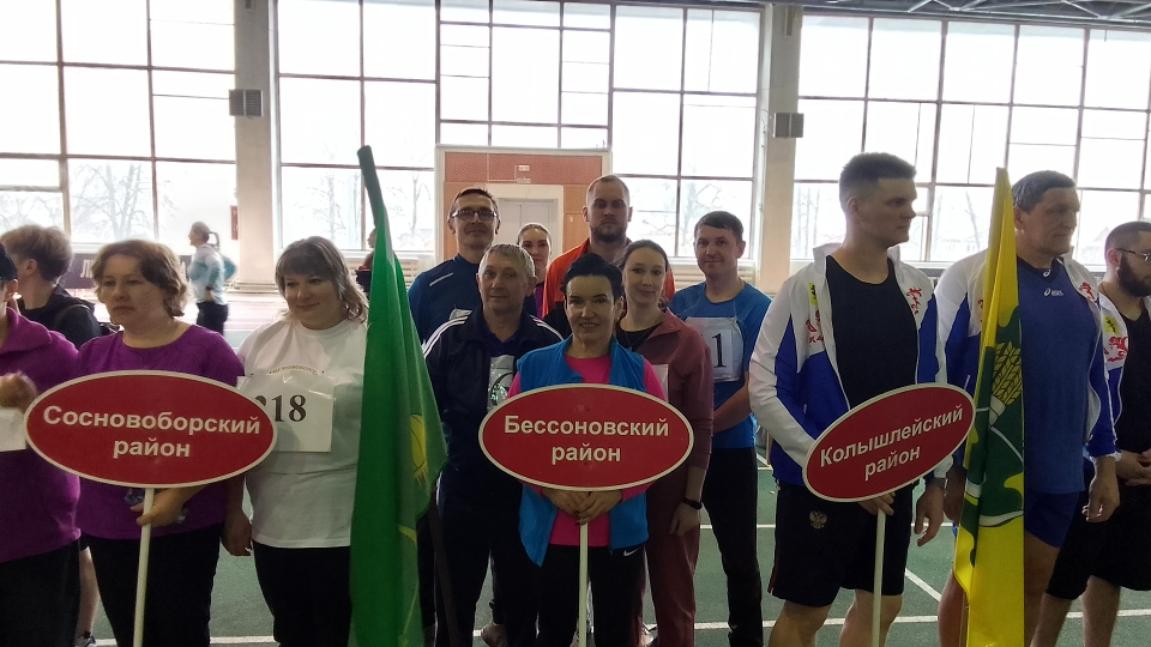 Областной фестиваль ВФСК ГТО среди трудовых коллективов