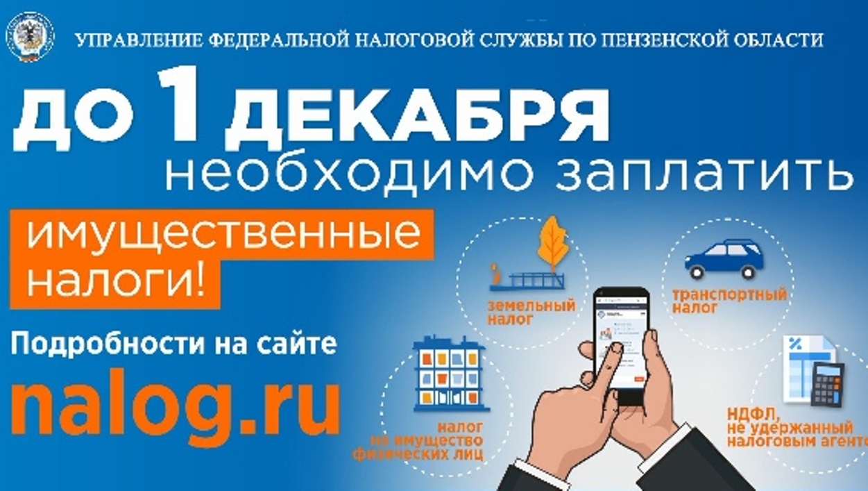 ФНС напоминает: до 1 декабря необходимо оплатить имущественные налоги