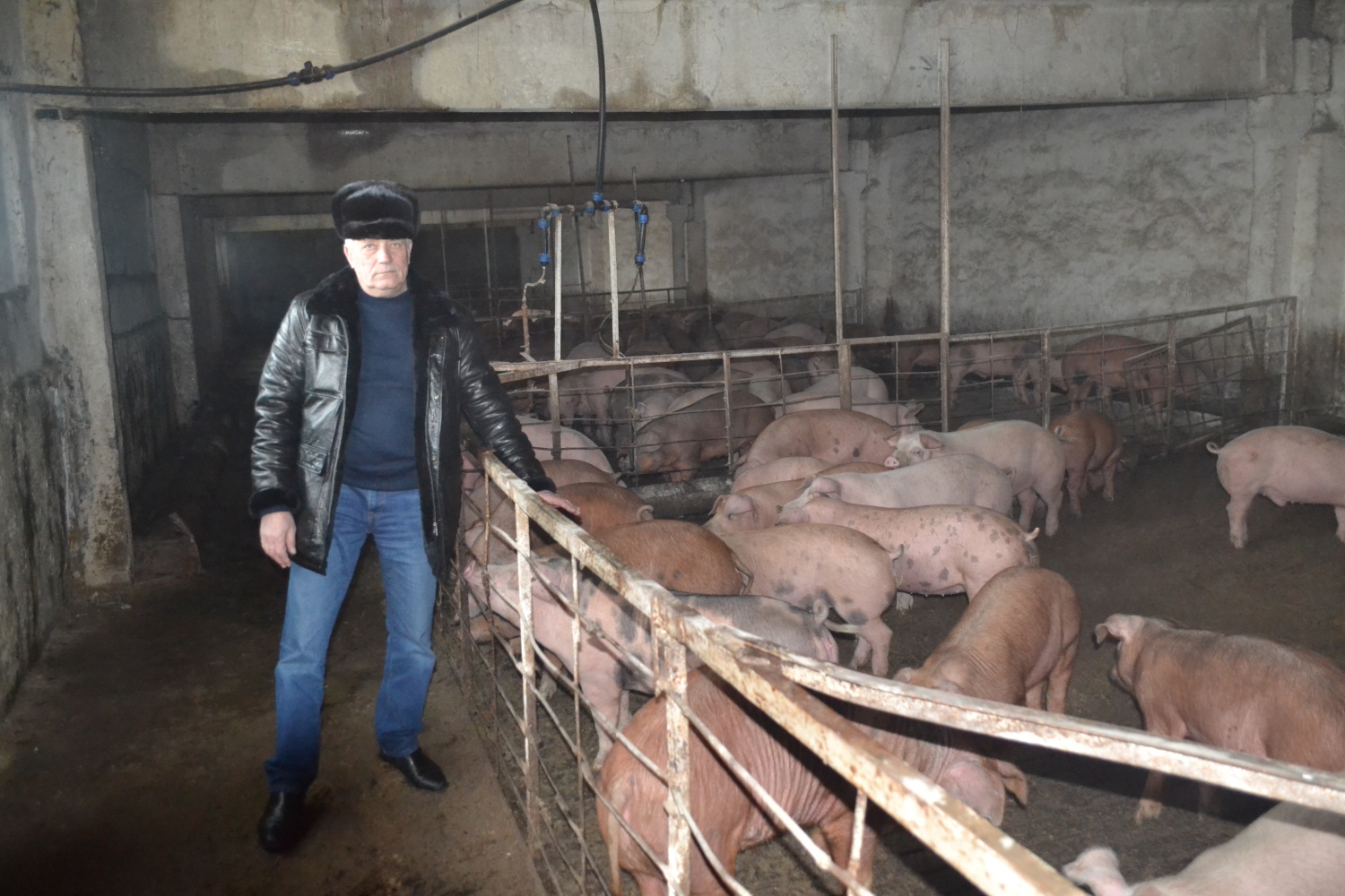 Начальник управления и развития сельского хозяйства Михаил Горшенин посетил хозяйство Бориса Шалашилина