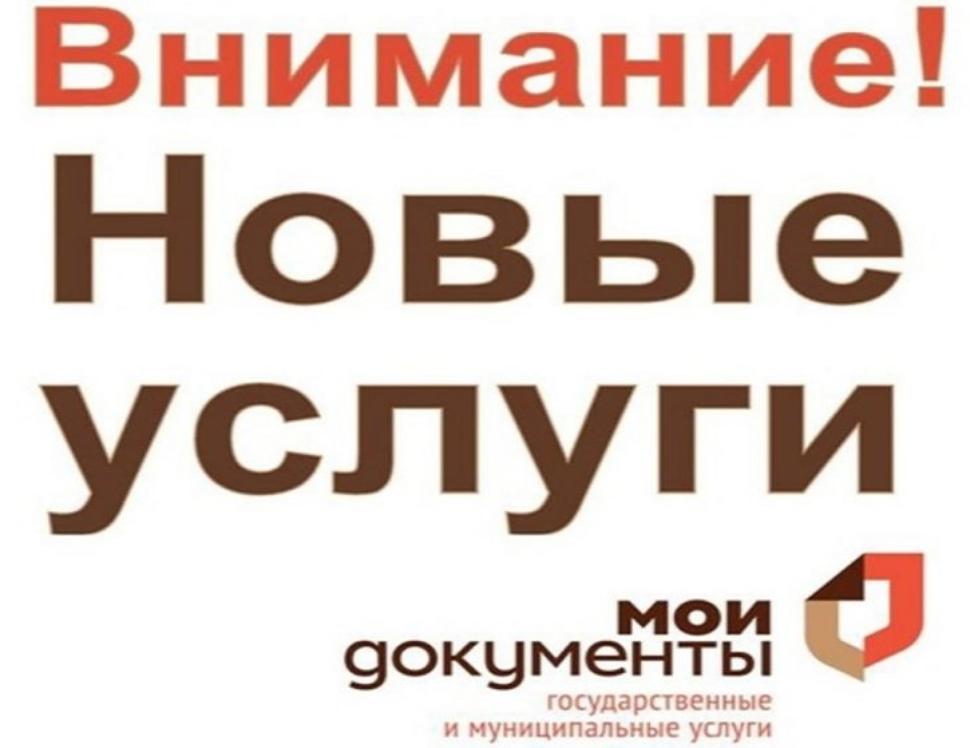 Услуги в МФЦ по самозапрету на кредиты