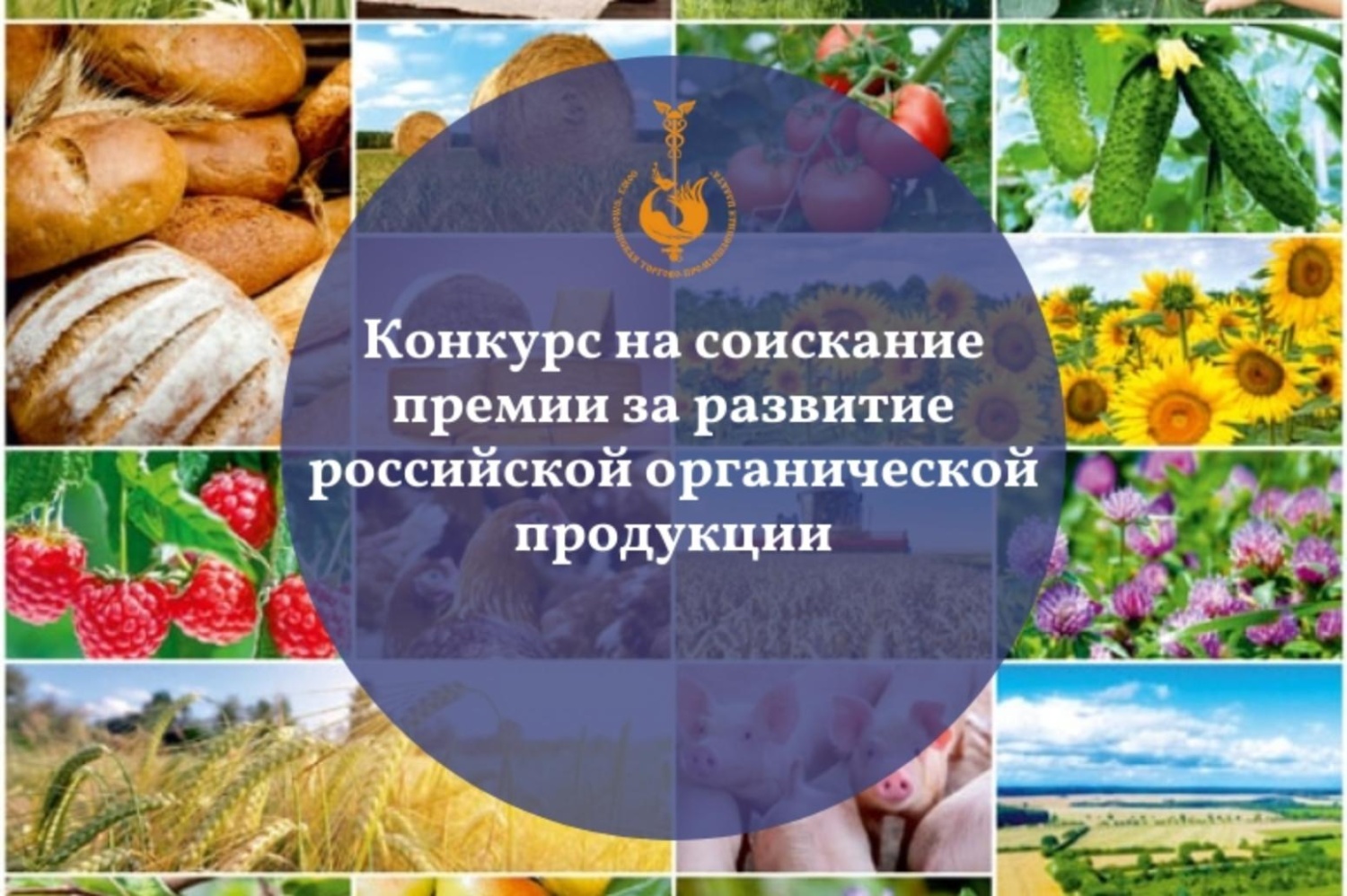 Конкурс на соискание премии за достижения в развитии российской органической продукции