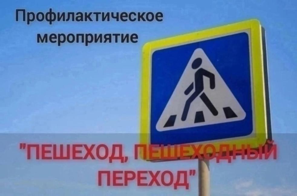 Сотрудники Госавтоинспекции Бессоновского района проведут ОПМ «Пешеход, пешеходный переход» 