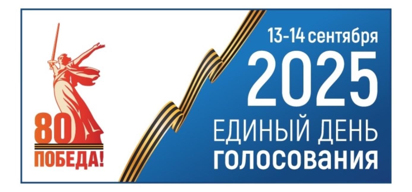 На территории Бессоновского района пройдут дополнительные выборы депутатов представительных органов Бессоновского района