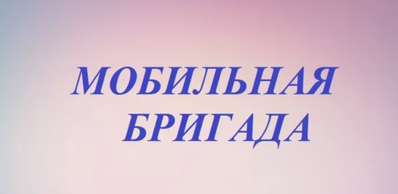 «Мобильная бригада» спешит на помощь. «Мобильная бригада» спешит на помощь.