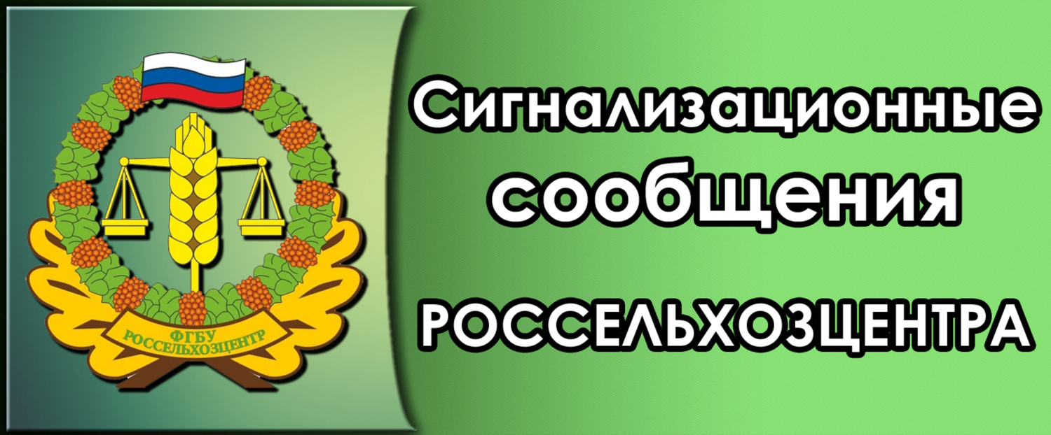 СИГНАЛИЗАЦИОННОЕ СООБЩЕНИЕ  РОССЕЛЬХОЗЦЕНТРА