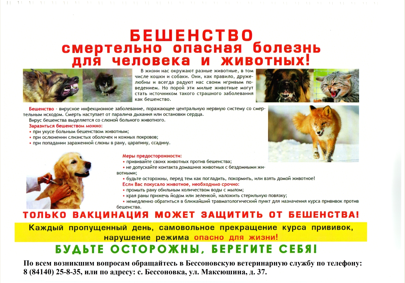 Памятка по бешенству 