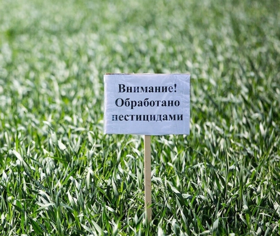 Внимание обработка пестицидами