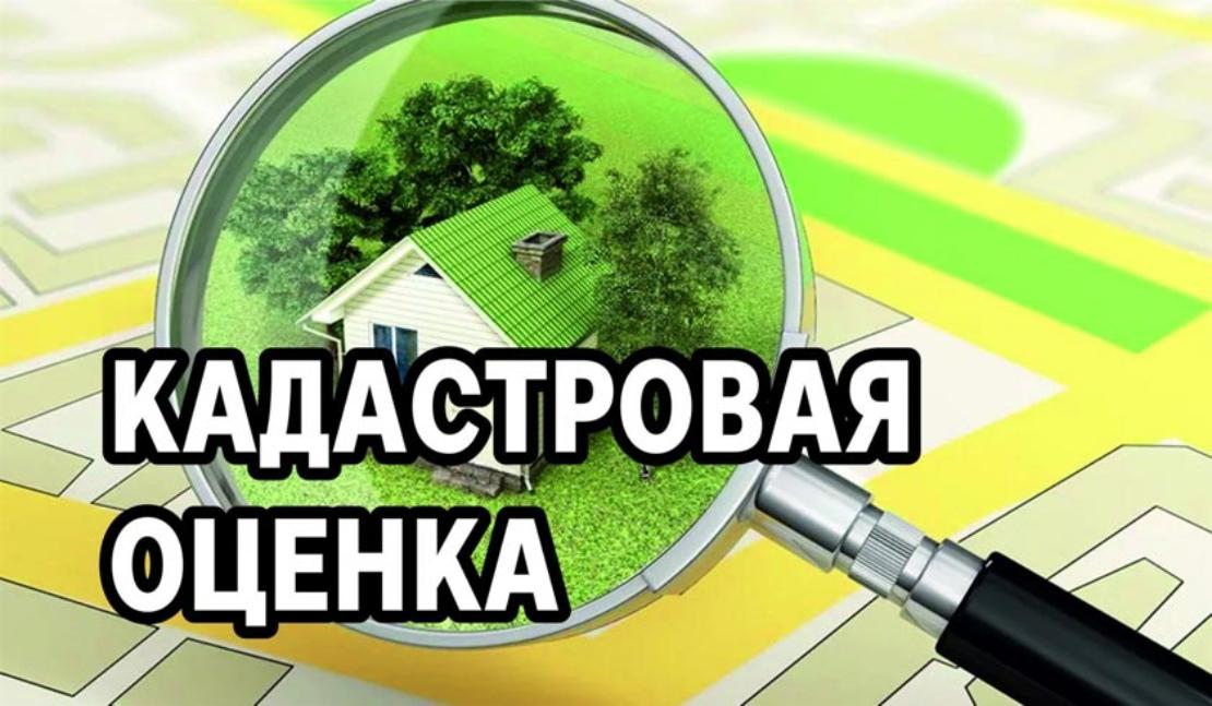 Утверждены результаты государственной кадастровой оценки