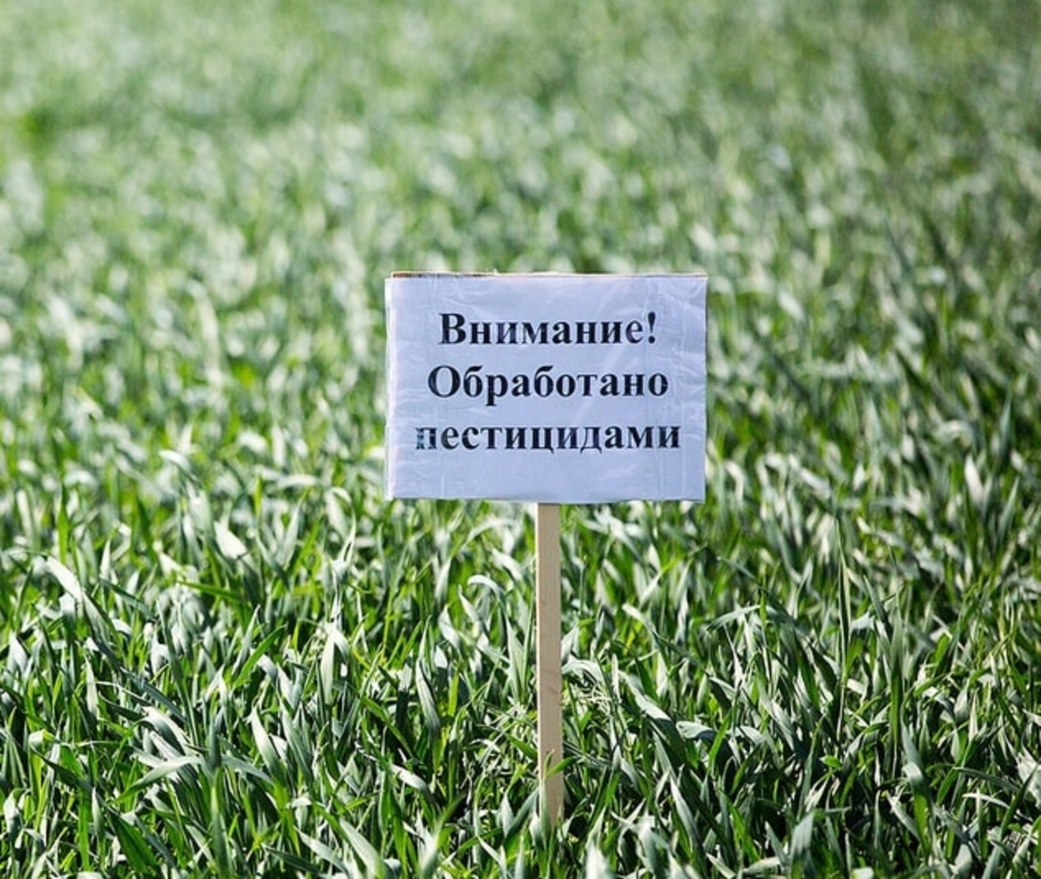 Уведомление о проведении работ по применению пестицидов и агрохимикатов