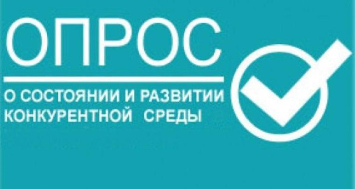 Проводится мониторинг состояния и развития конкурентной среды на рынках товаров, работ и услуг