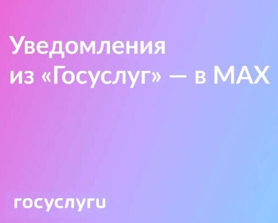 Проверяйте статусы заявлений на Госуслугах в МAX