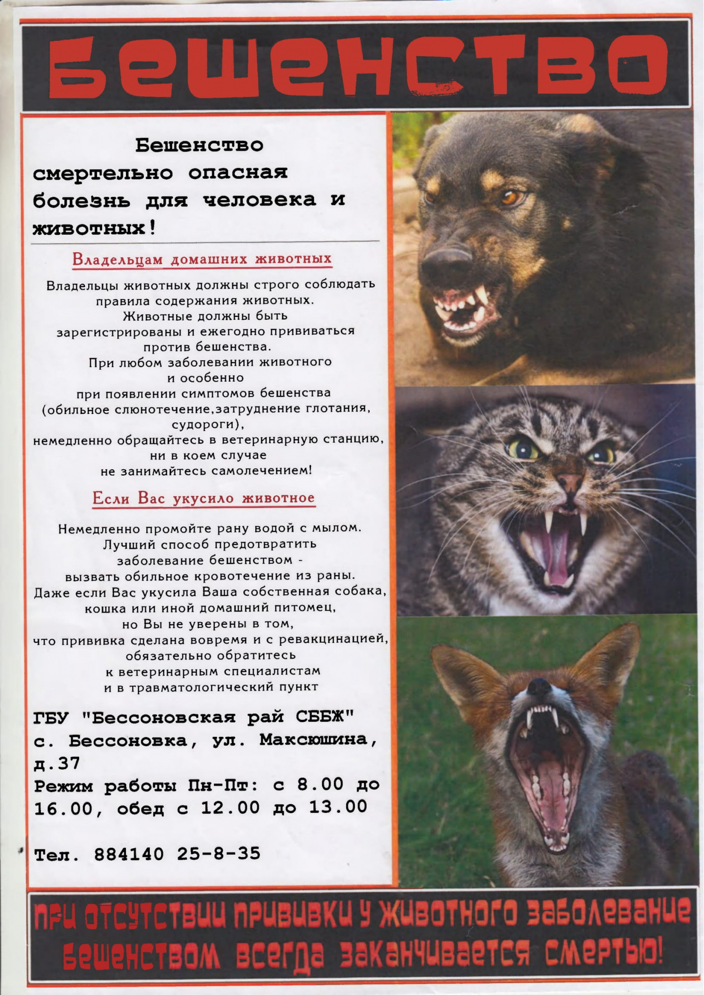 Бешенство информация