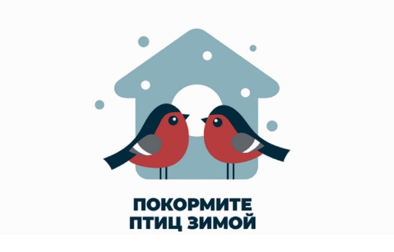 Подведены итоги муниципальной этапа акции «Покормите птиц зимой»
