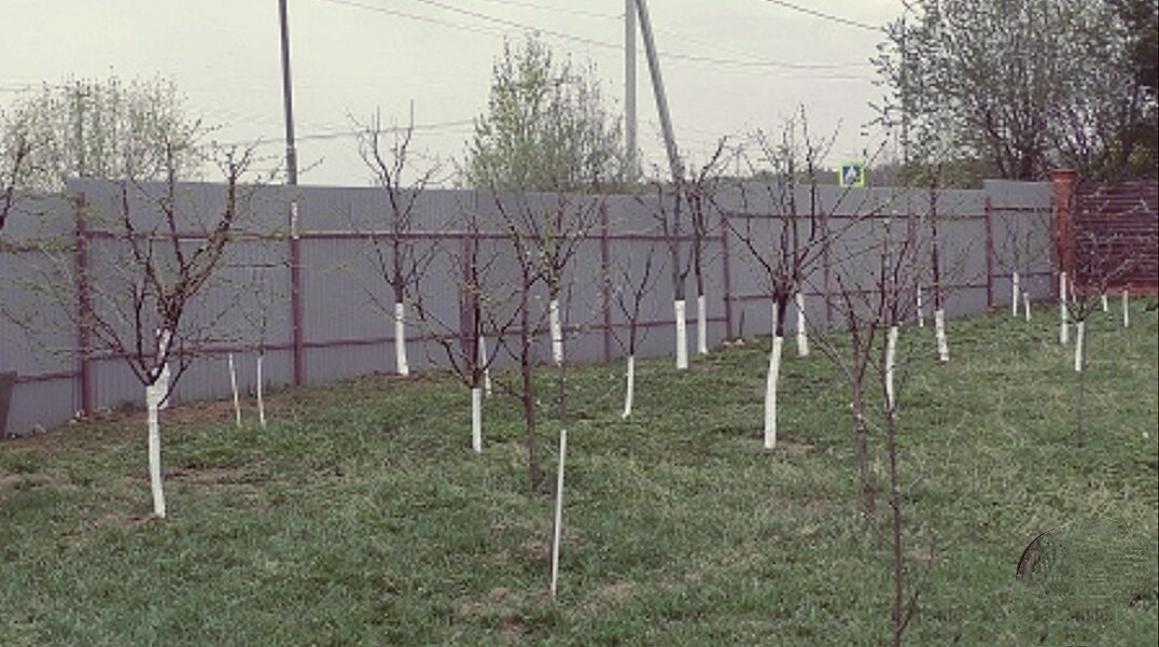 ВЫЕЗД К УЧАСТНИКУ СОЦИАЛЬНОГО КОНТРАКТА