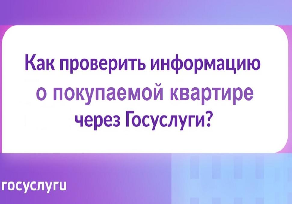 Как проверить информацию о квартире перед покупкой