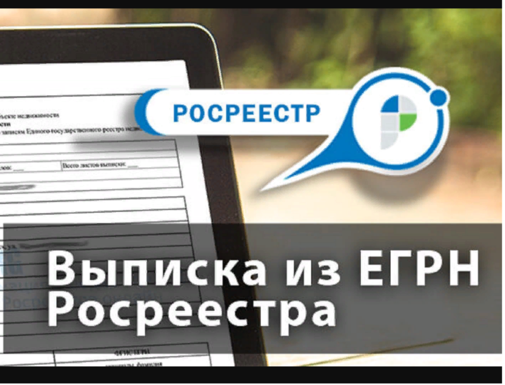 Достоверность сведений в выписке ЕГРН можно будет проверить с помощью QR-кода