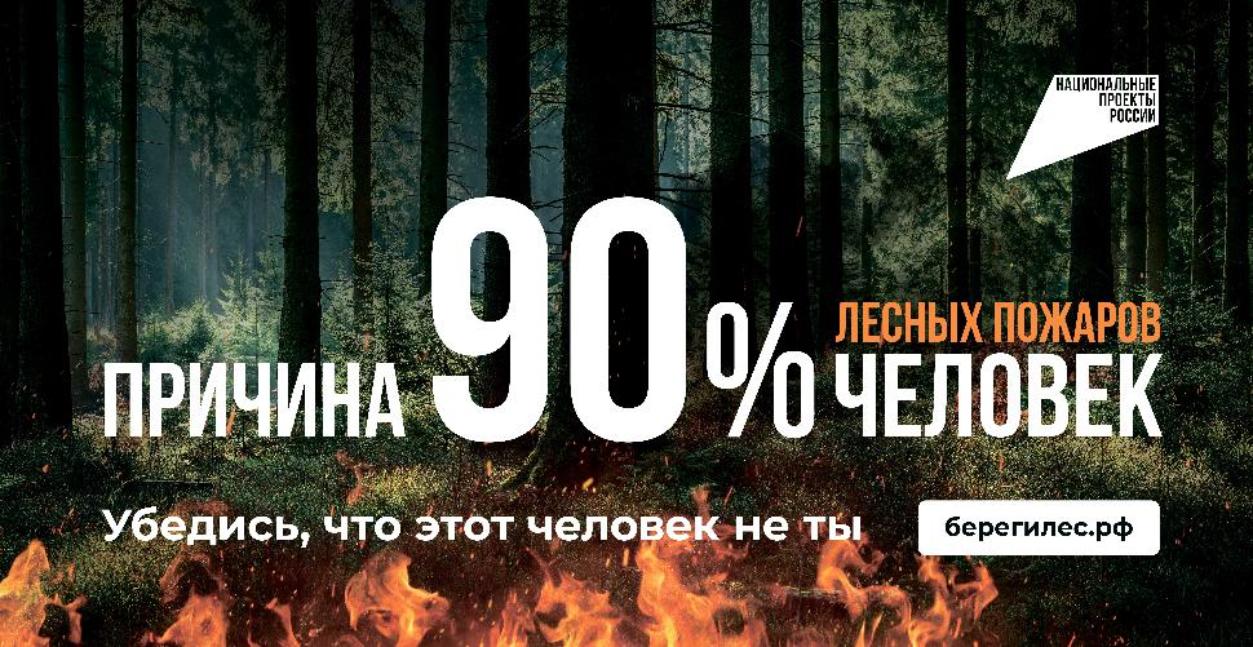 В 9 из 10 случаев причина лесного пожара – человек. 