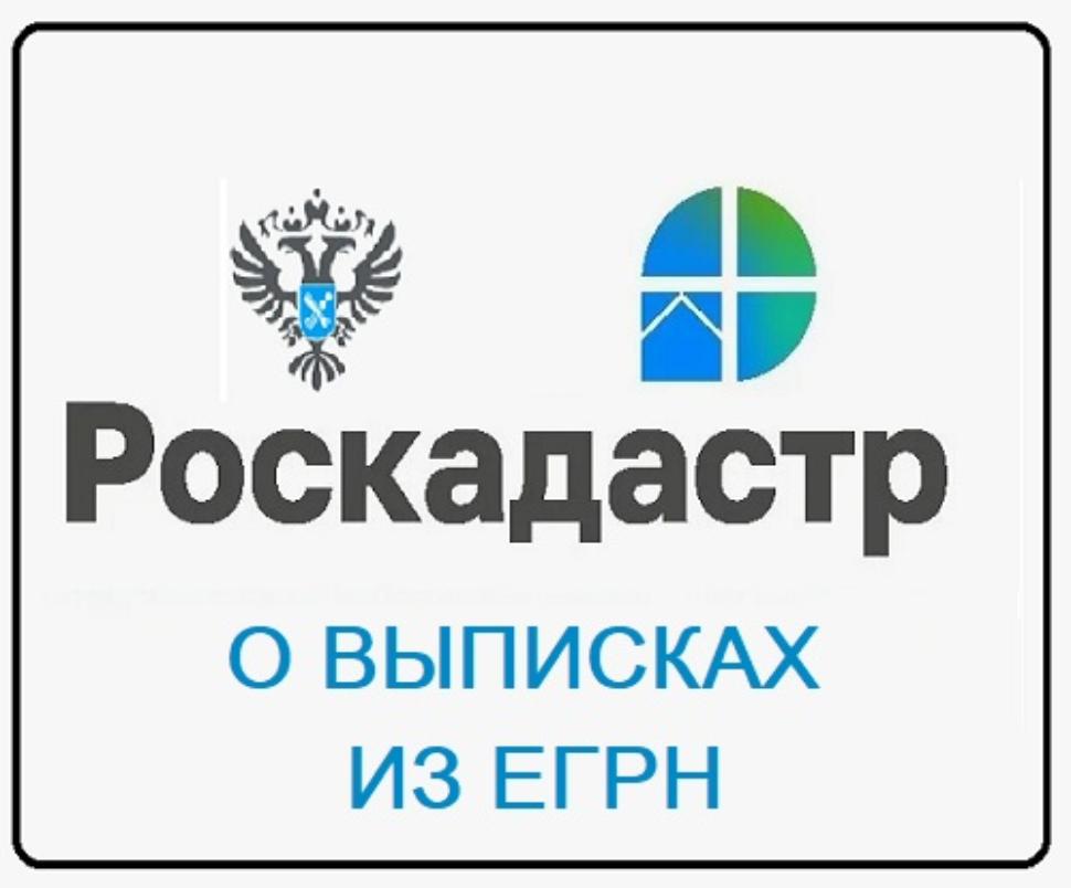 С начала года региональным Роскадастром выдано более 580 тысяч выписок из ЕГРН С начала года региональным Роскадастром выдано более 580 тысяч выписок из ЕГРН