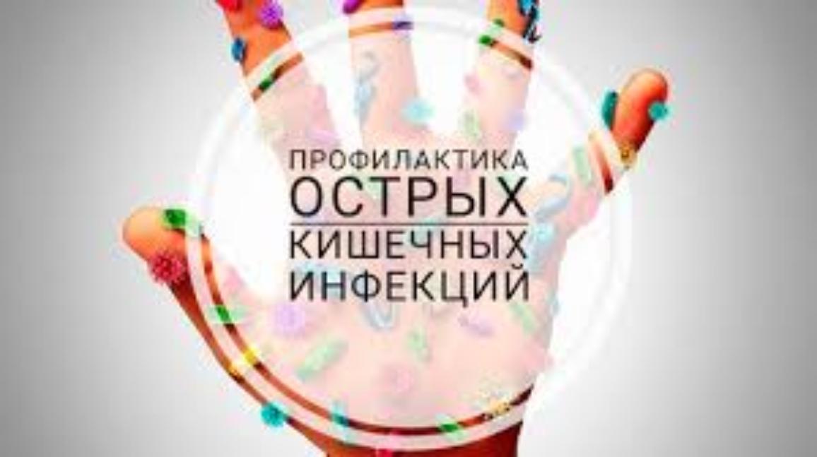 Профилактика кишечных инфекций и вирусного гепатита Профилактика кишечных инфекций и вирусного гепатита