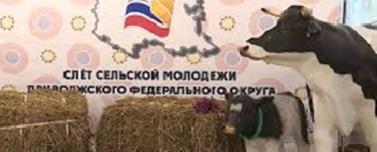 Слет сельской молодежи субъектов РФ ПФО