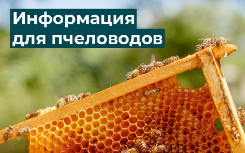 В Мичуринске пройдёт межрегиональный форум пчеловодов «Черноземье. Мастерская пчеловодства»