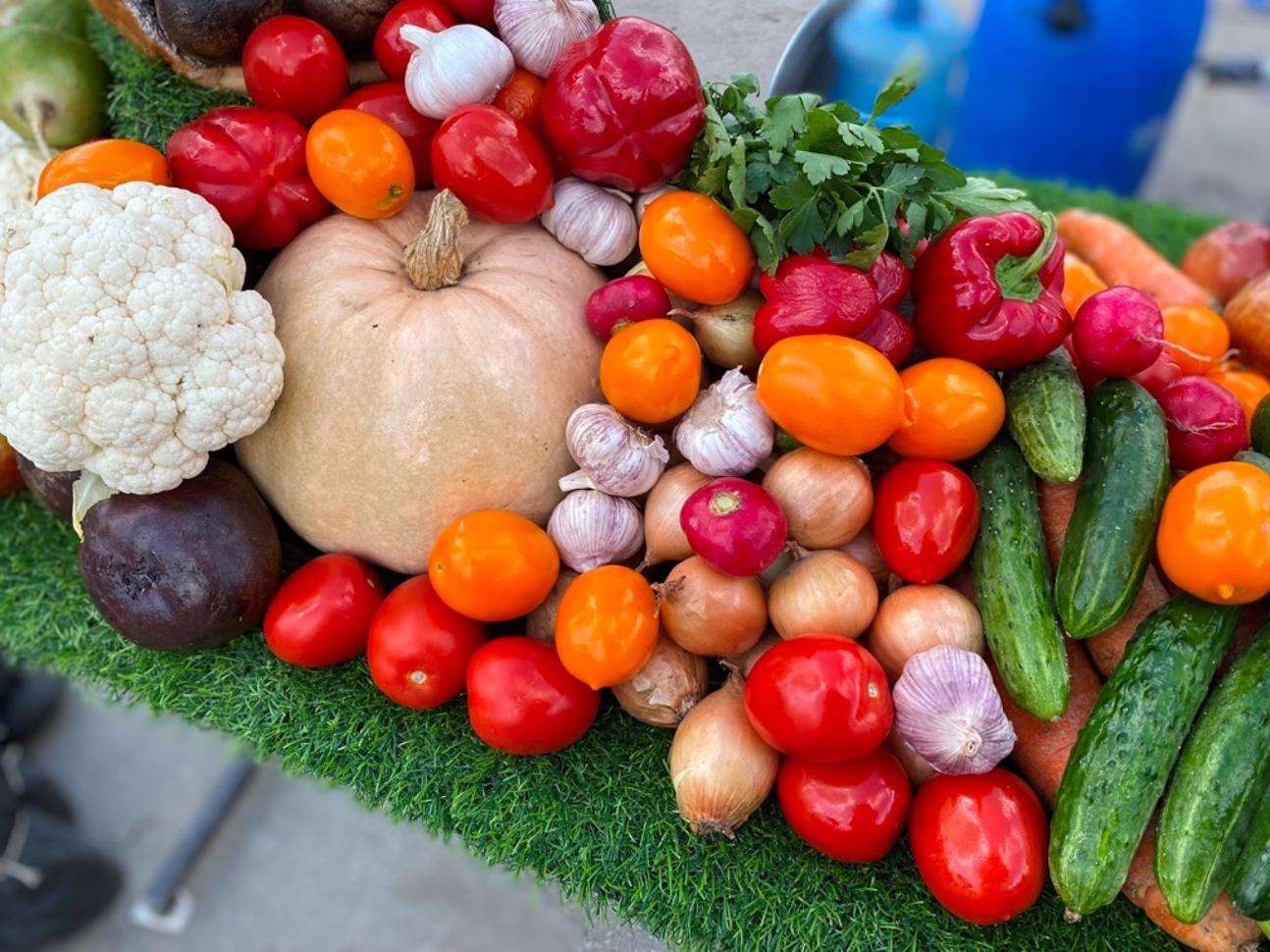 28 и 29 сентября 2024 года в городе Пензе пройдет ярмарка-презентация продукции местных товаропроизводителей