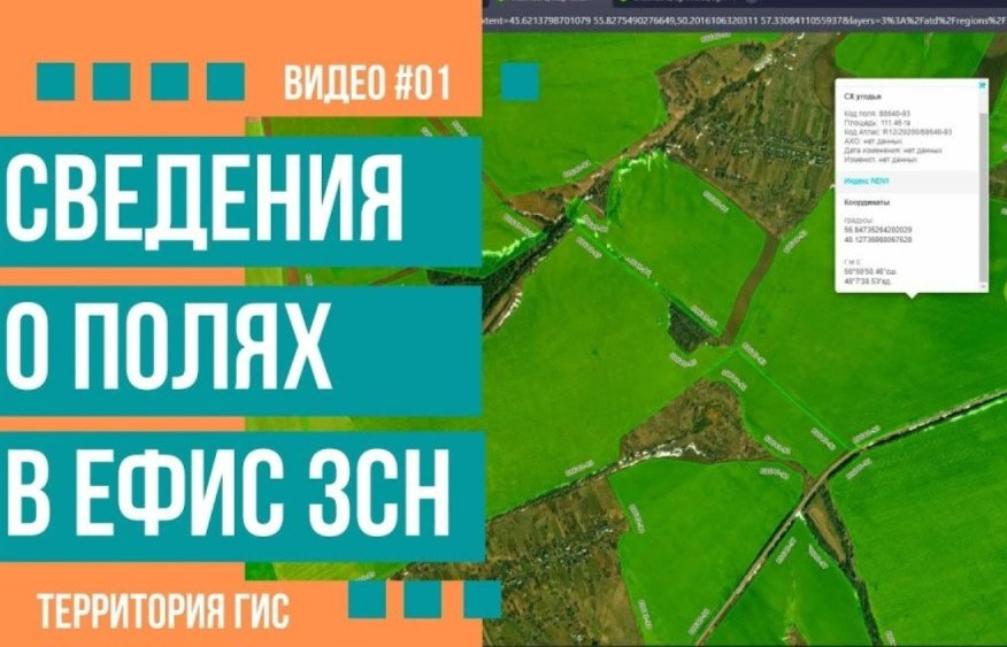 Уважаемые сельхозтоваропроизводители, функциональность ЕФИС ЗСН обновлена!