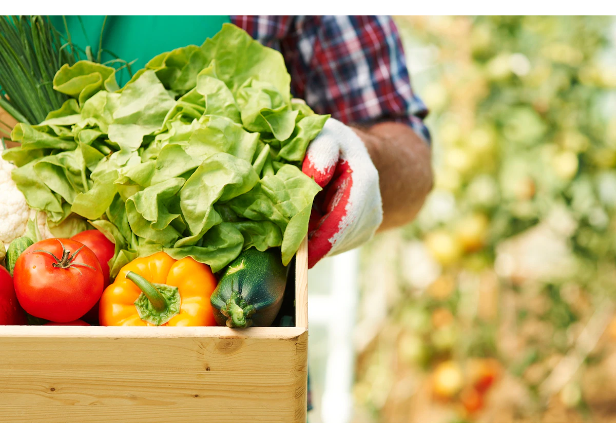 Об изменении цен производителей сельскохозяйственной продукции по Пензенской области в октябре 2023 года