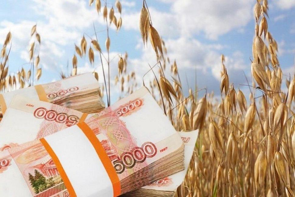 Пензенские аграрии получат субсидии на поддержку приоритетных направлений агропромышленного комплекса и развитие малых форм хозяйствования  