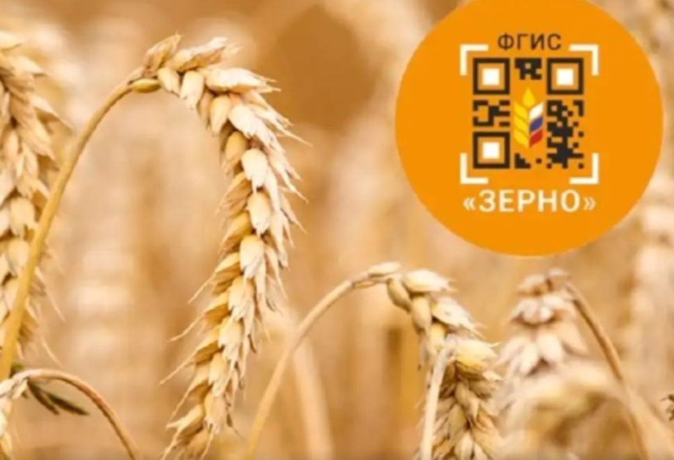 С 1 января 2024 года во ФГИС «Зерно» будет автоматически отслеживаться информация о полях, с которых собран урожай